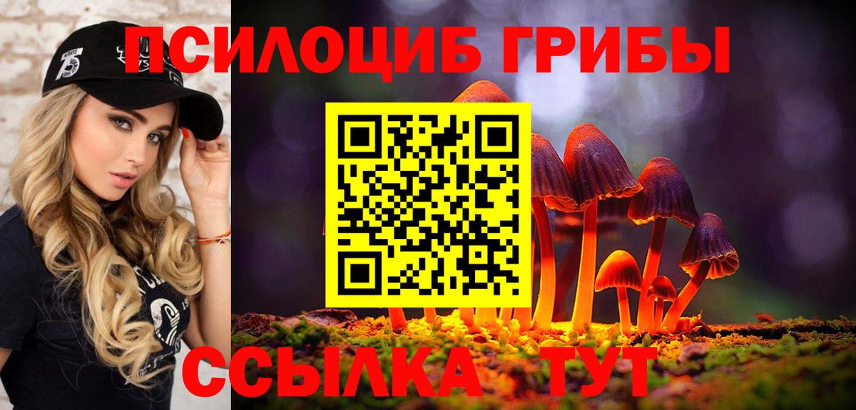 Галлюциногенные грибы Cubensis Стерлитамак